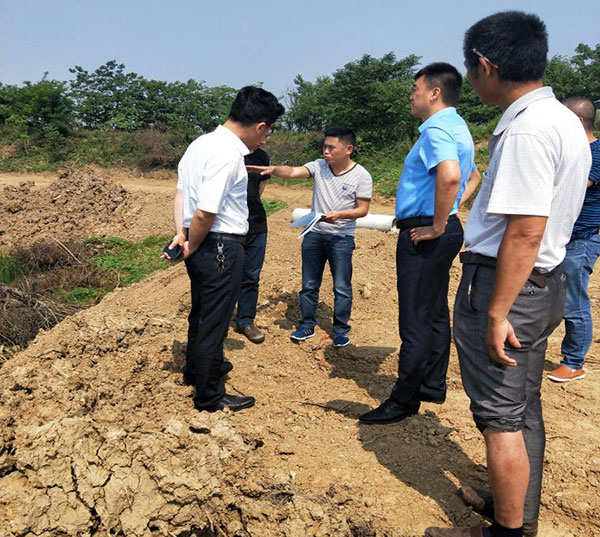 合肥金絲柳生態建設有限公司土地項目部工作簡介